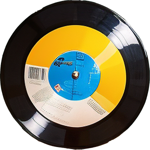 vinyl